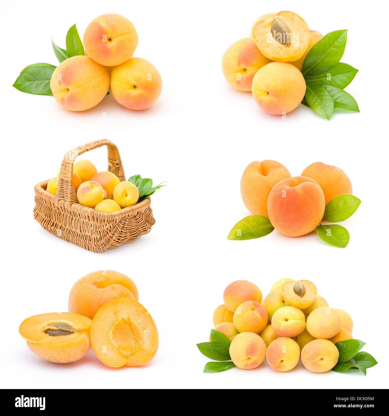 collection of fresh apricot fruits Stock Photo Alamy