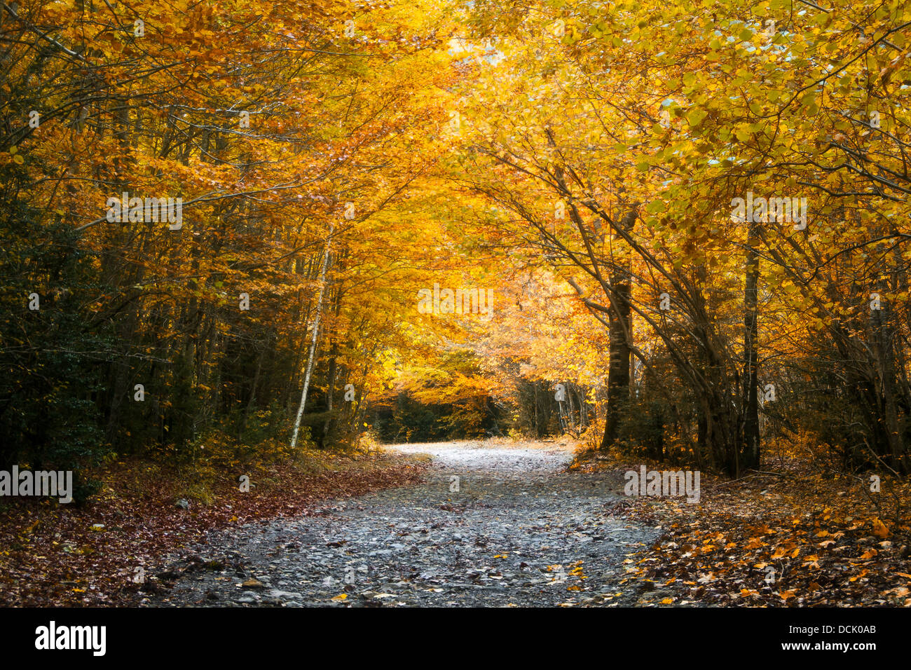 Autumn in Valle Pineta, Ordesa y Monte Perdido, Spain Stock Photo