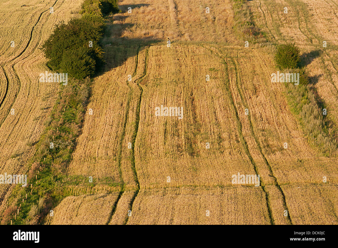 Sunlight on large field hi-res stock photography and images - Alamy