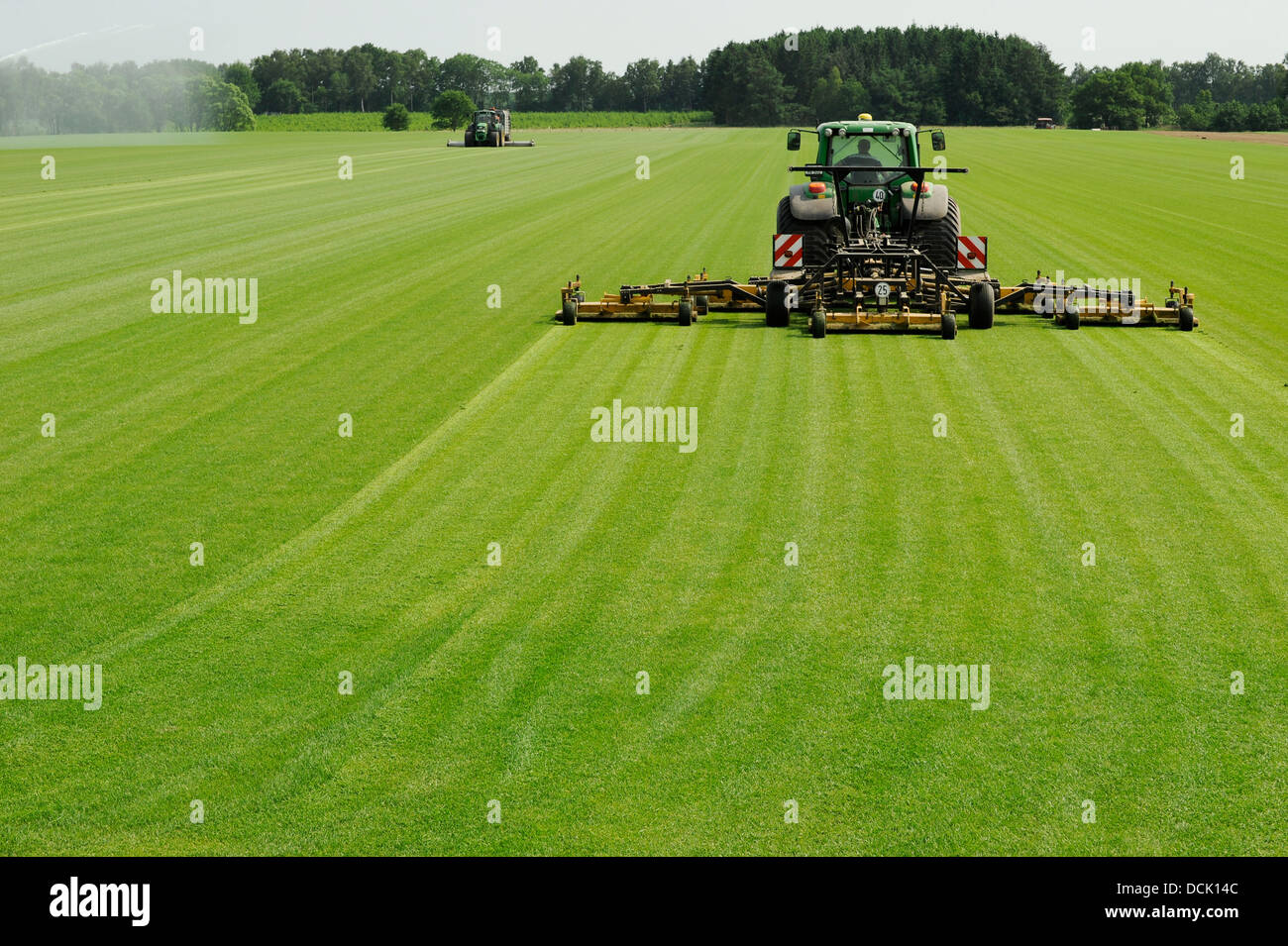 GERMANY lower saxonia cultivation of rolling lawn grass cutting