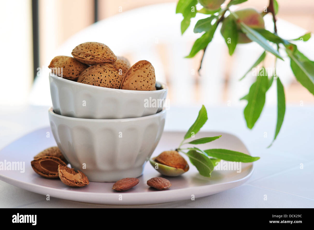 unpeeled almonds nuts in ceramic bowl with twigs of almond tree Stock Photo