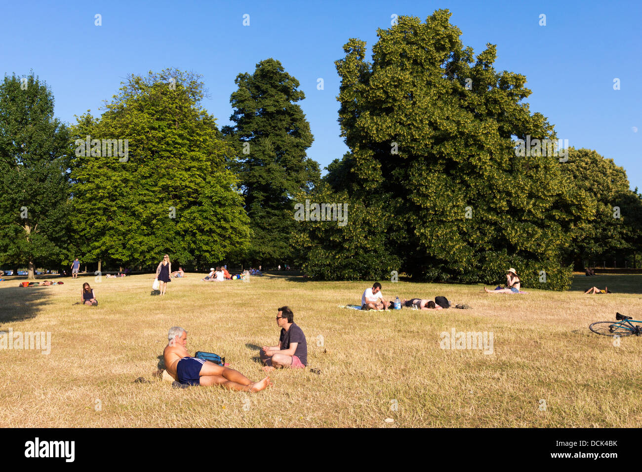 Heatwave 2013 - Hyde Park - London Stock Photo