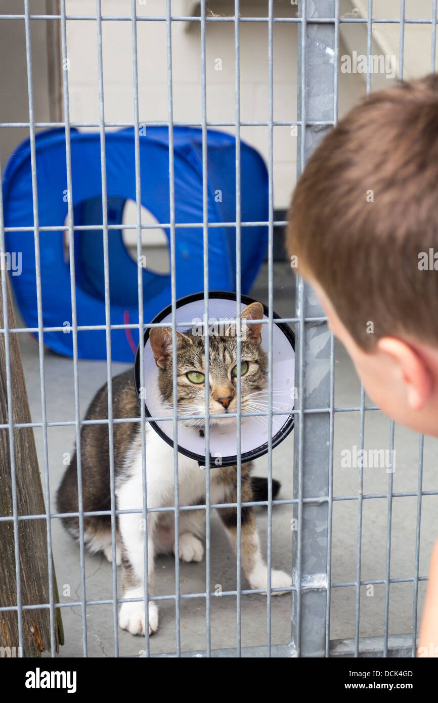 RSPCA Blackberry Farm Animal Centre - Waddesdon - Buckinghamshire Stock Photo