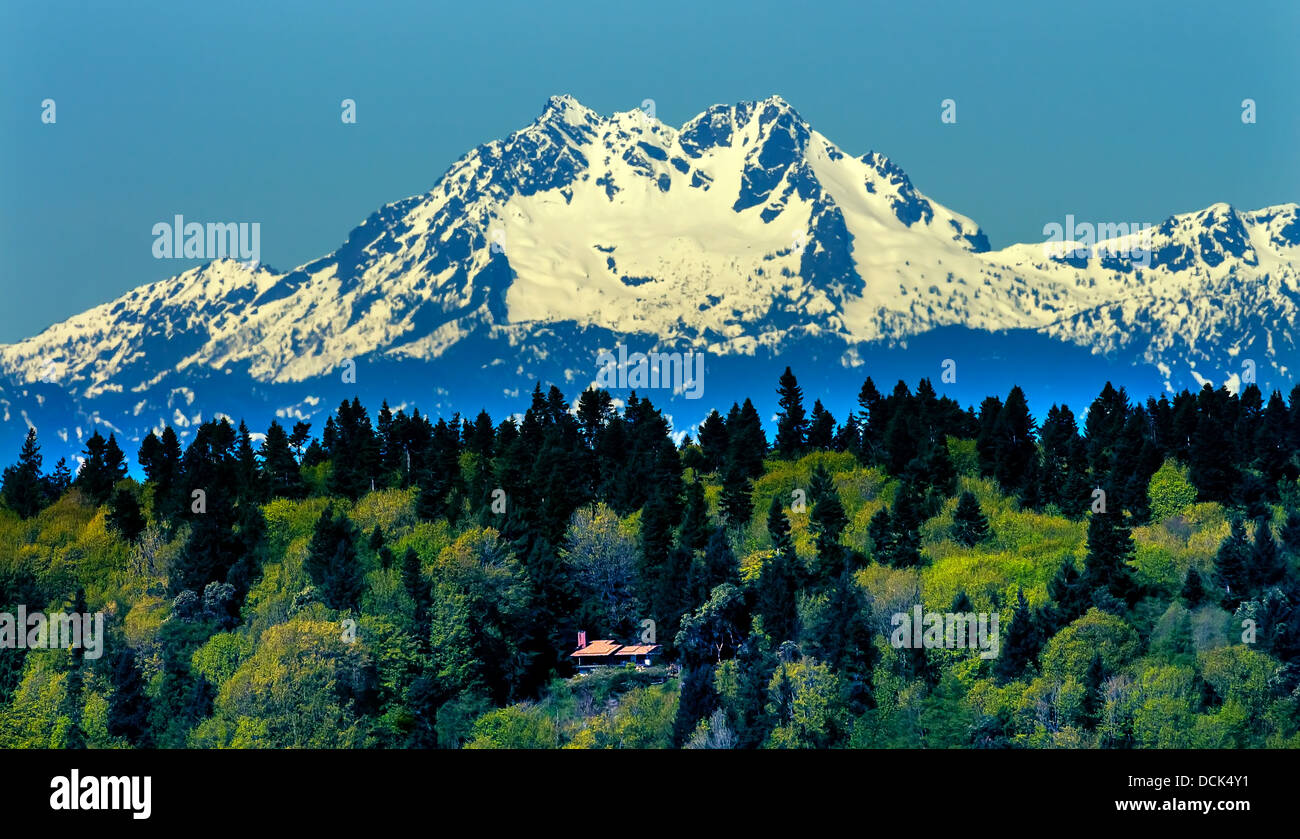 Bainbridge Island Mount Olympus Snow Mountains Olympic National Park