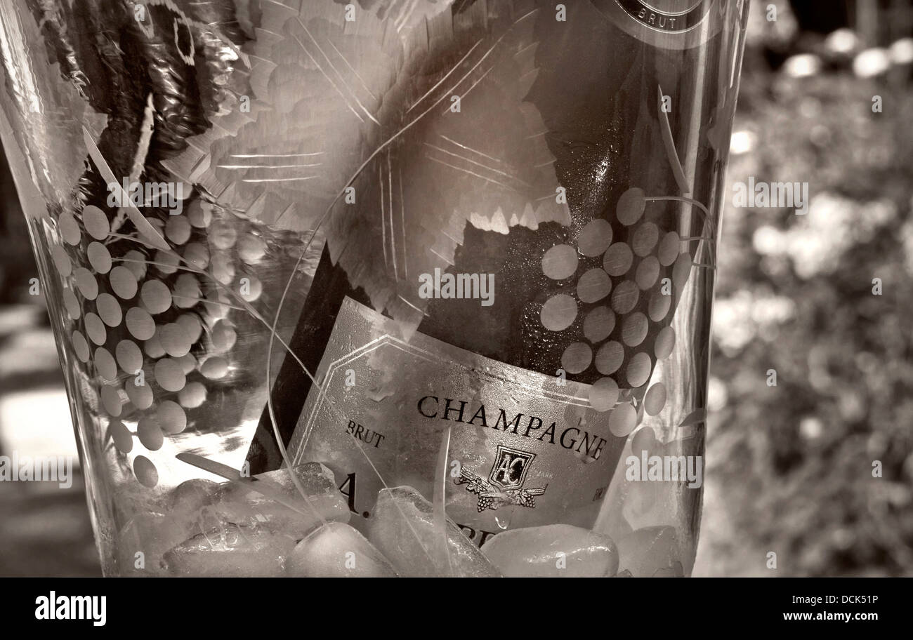 B&W retro concept of Champagne bottle on ice chilling in engraved crystal glass wine cooler in alfresco situation Stock Photo