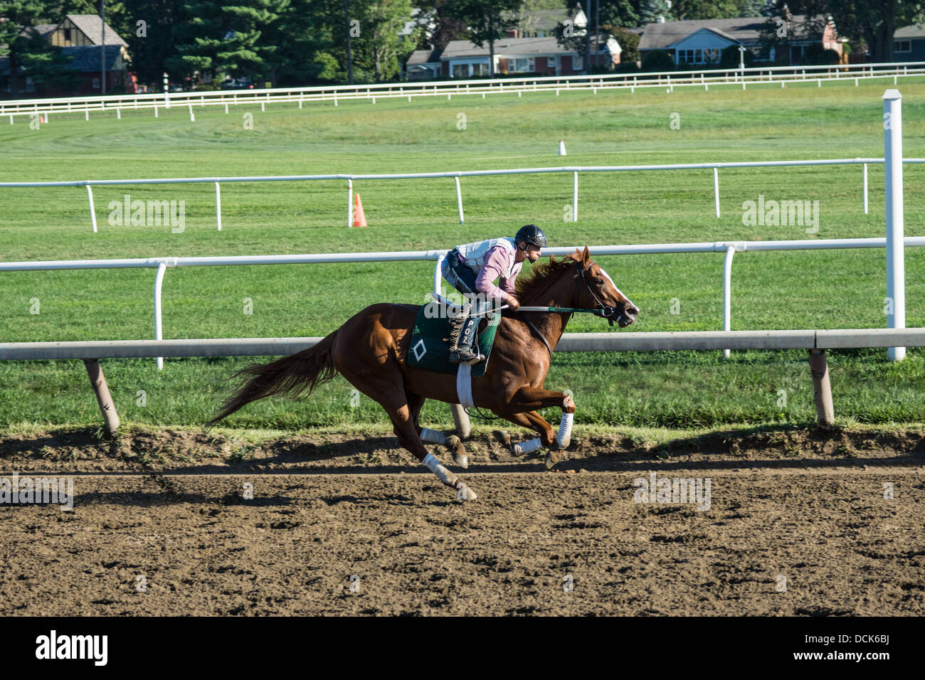 Horse and rider morning exercise racing race track hi-res stock ...