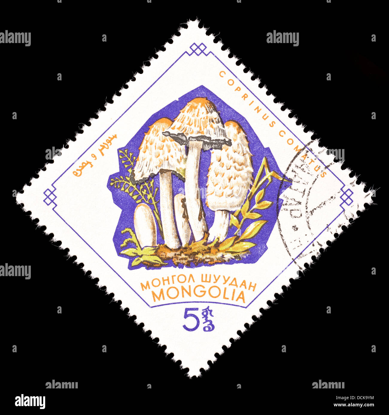 Postage stamp from Mongolia depicting a shaggy mane mushroom (Coprinus comatus) Stock Photo
