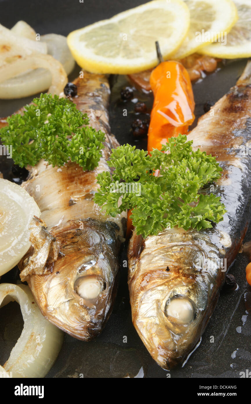 some freshly grilled sardines prepared as food Stock Photo