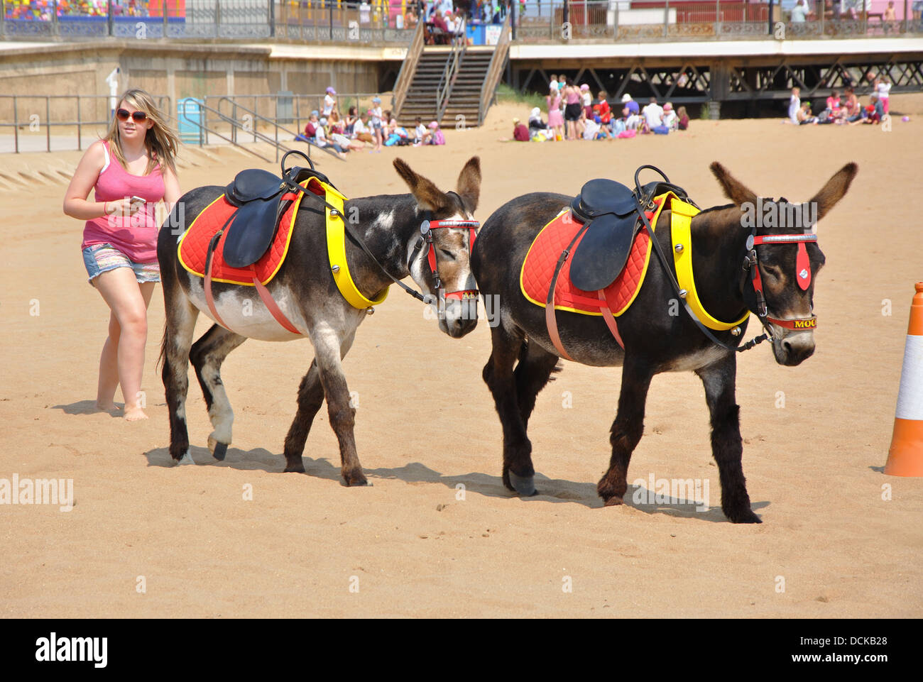 donkeys on beach, Skegness, Lincolnshire, England, UK Stock Photo