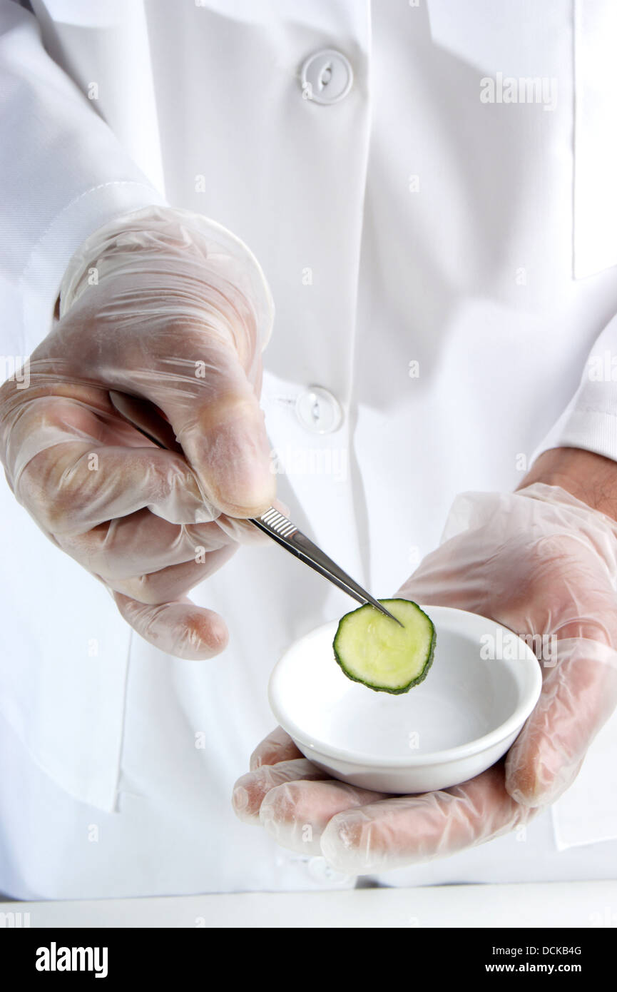 one slice of cucumber is being studied in the food laboratory Stock Photo