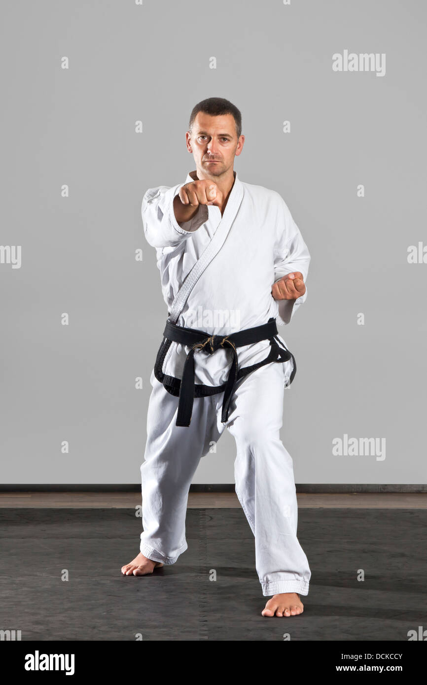 martial arts master Stock Photo Alamy