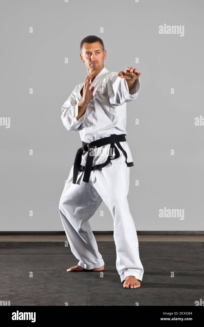 martial arts master Stock Photo Alamy