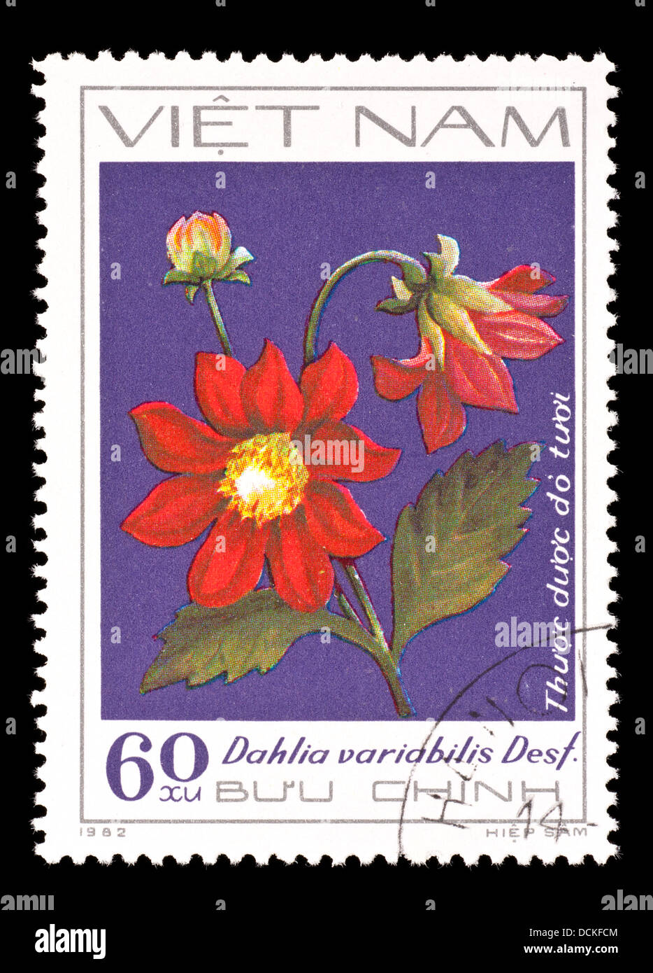 Postage stamp from Vietnam depicting a dahlia flower Stock Photo - Alamy
