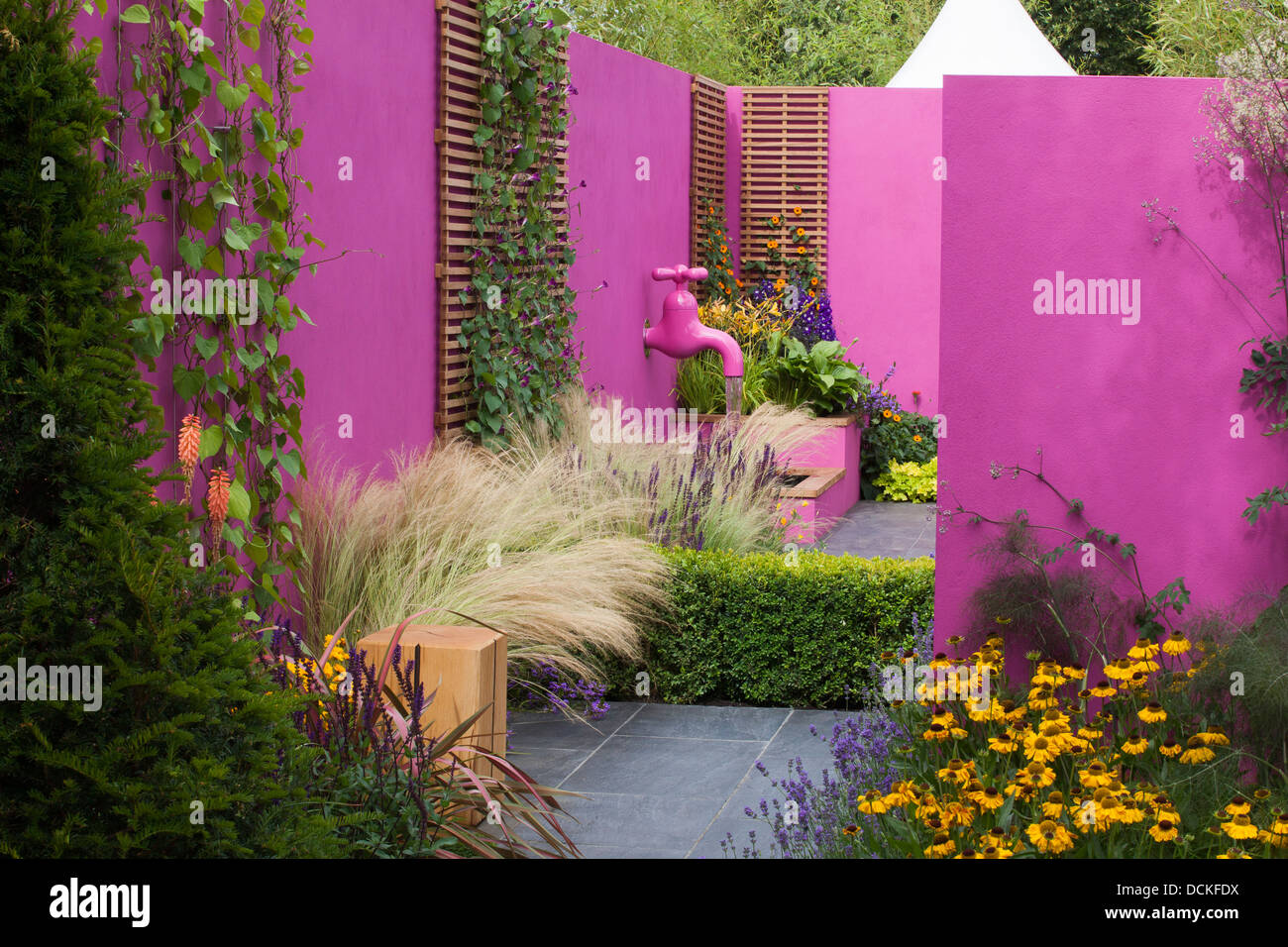 Modern garden with original pink walls Stock Photo Alamy