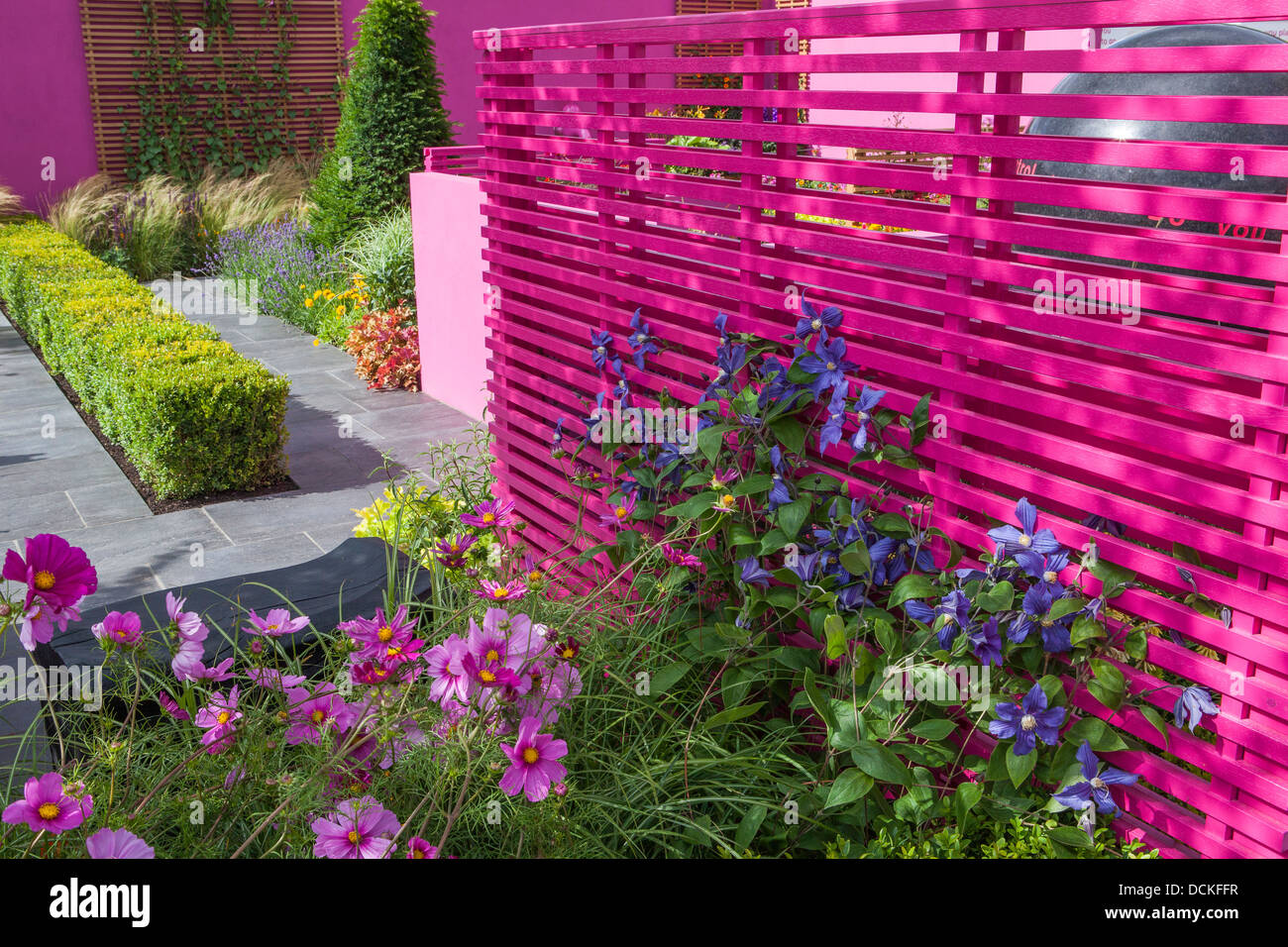 Modern garden with original pink walls Stock Photo Alamy