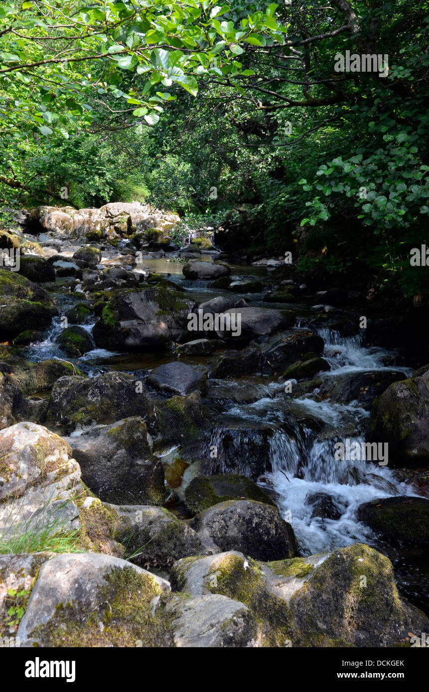 Relaxing mountain stream hi-res stock photography and images - Alamy