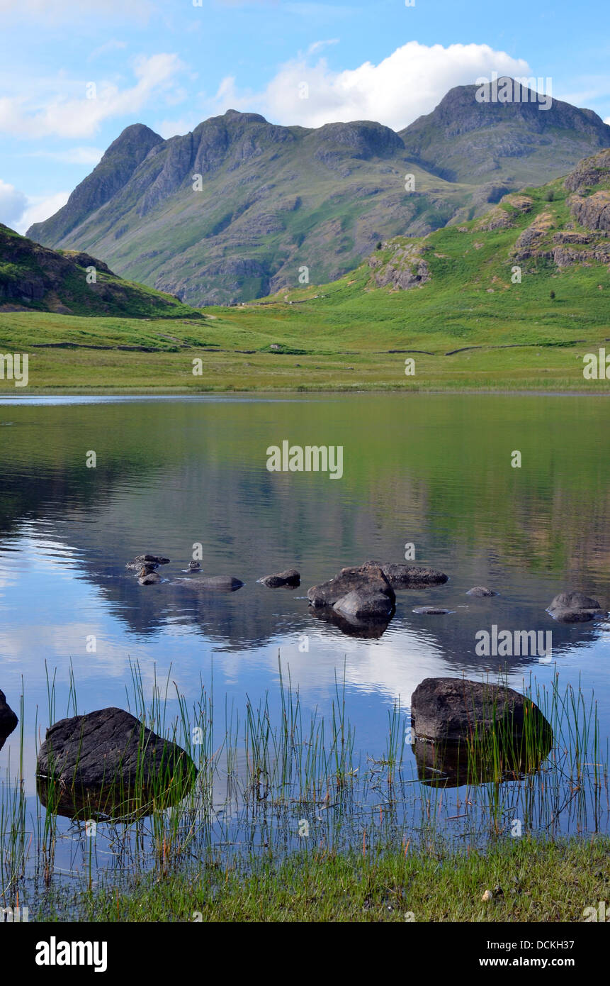 The Langdale Pikes seen across Blea Tarn in summer early evening light, Lake District National Park, Cumbria, England. Stock Photo