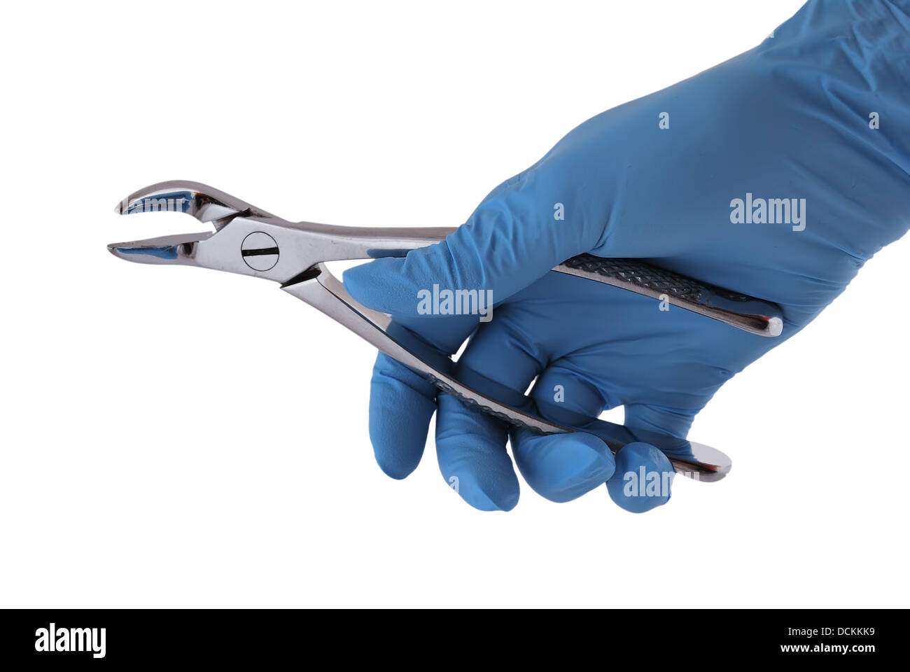 Medical Metal Forceps Stock Photos & Medical Metal Forceps Stock Images