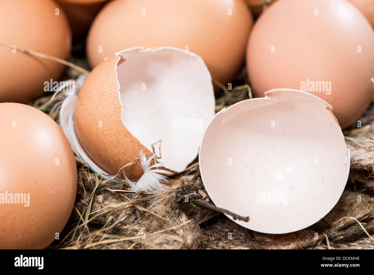 Some brown Eggs in a heap of Hey Stock Photo Alamy