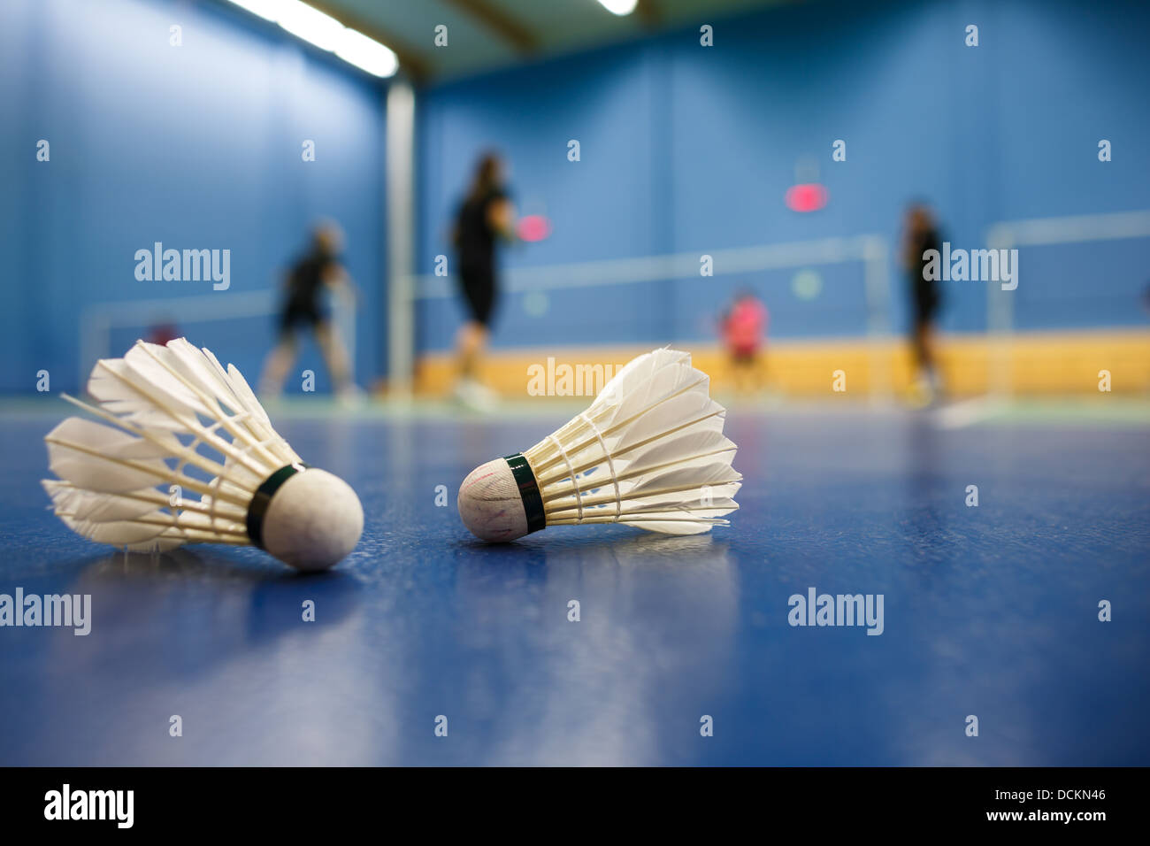 badminton badminton courts with players competing shuttlecock Stock badminton badminton courts with players competing shuttlecock Stock