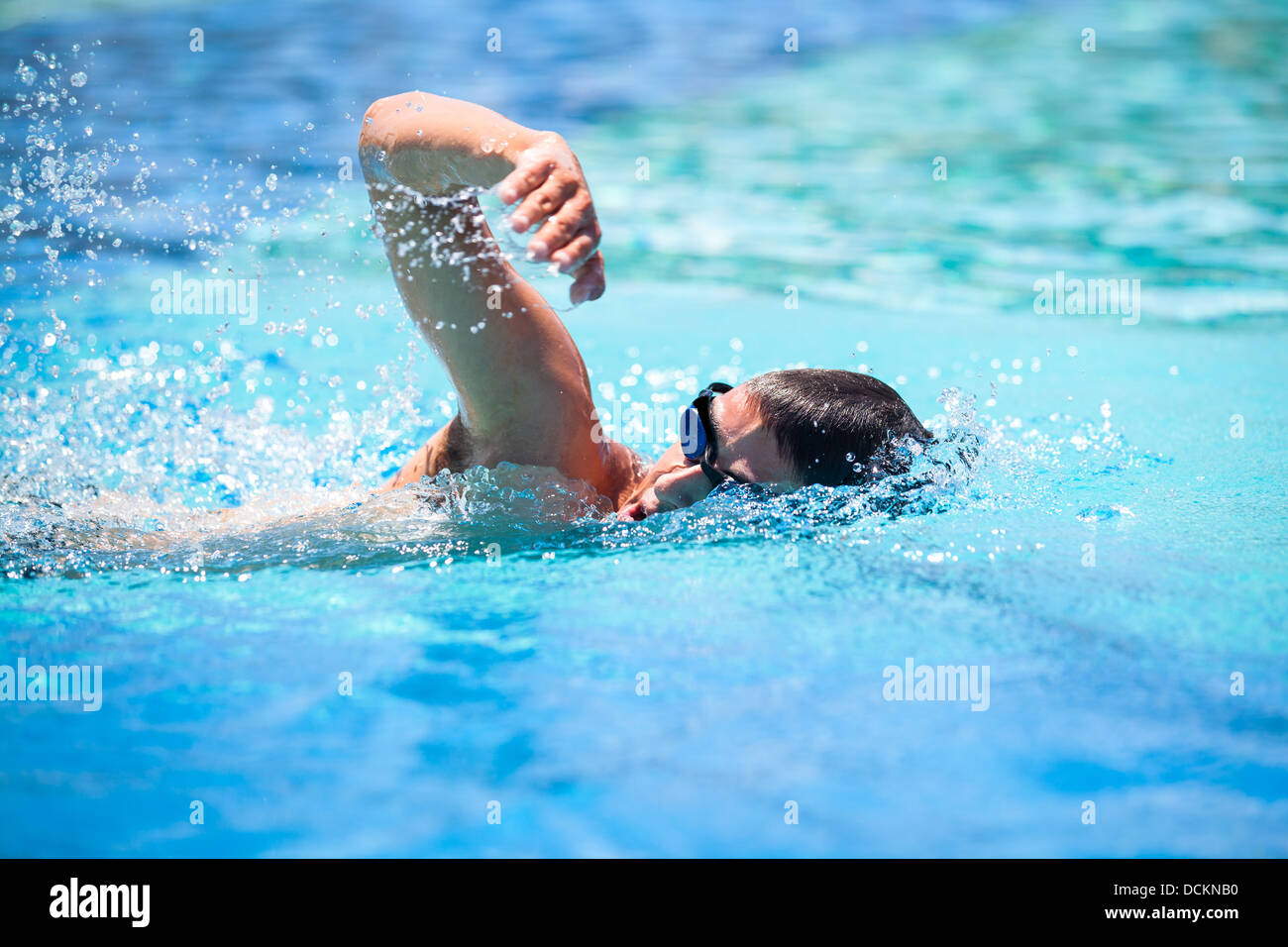 Young man swimming the front crawl in a pool Stock Photo Alamy