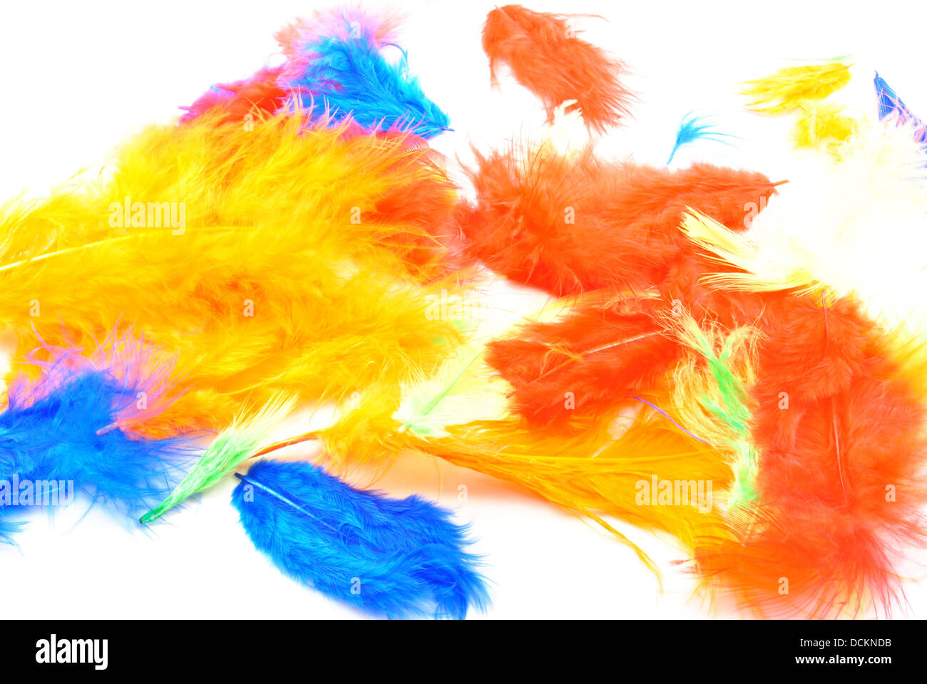 some coloured feathers ideal for easter decoration Stock Photo