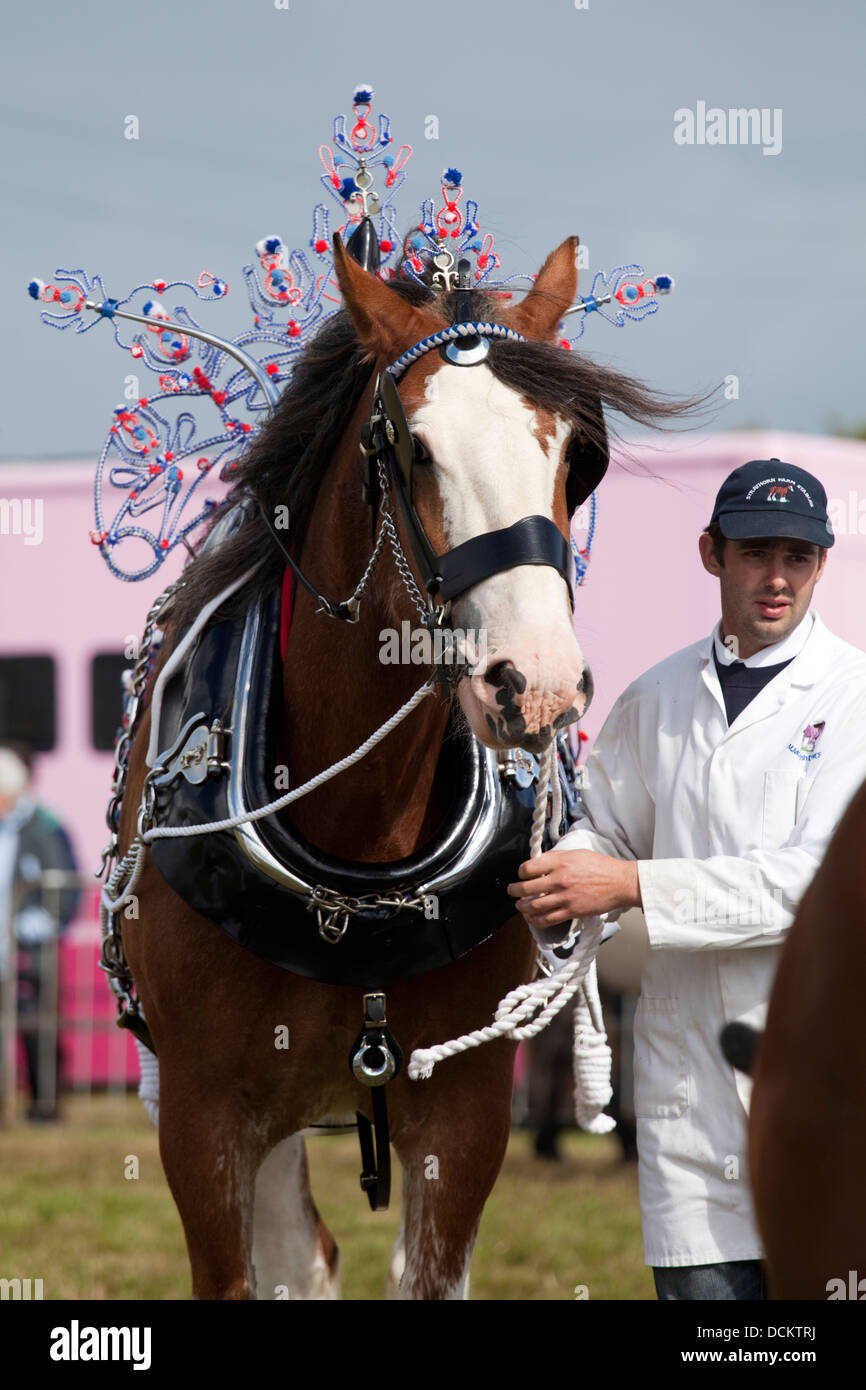 Horse harness uk hi-res stock photography and images - Alamy