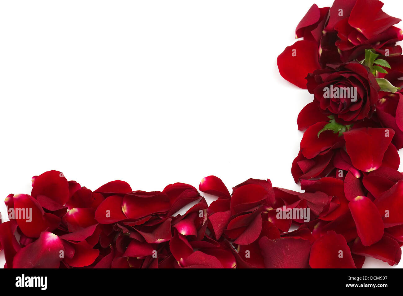 frame of red rose petals Stock Photo - Alamy