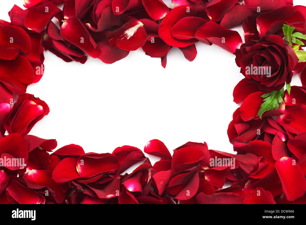 frame of red rose petals Stock Photo - Alamy
