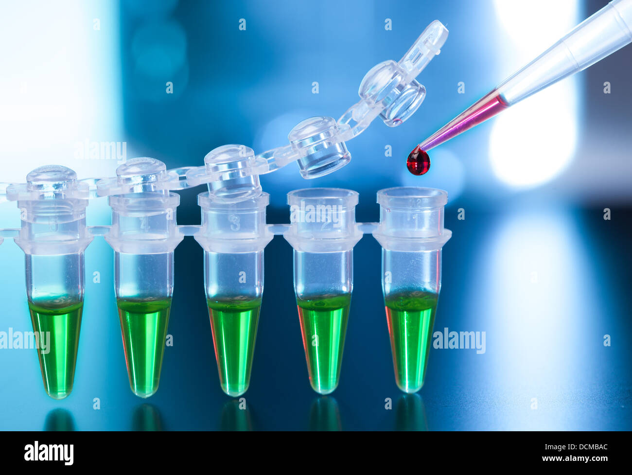 Loading of PCR samples in numbered plastic tubes Stock Photo