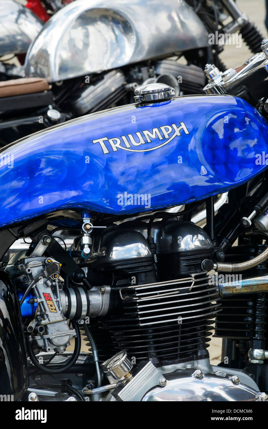 Triumph thruxton 2005 deals