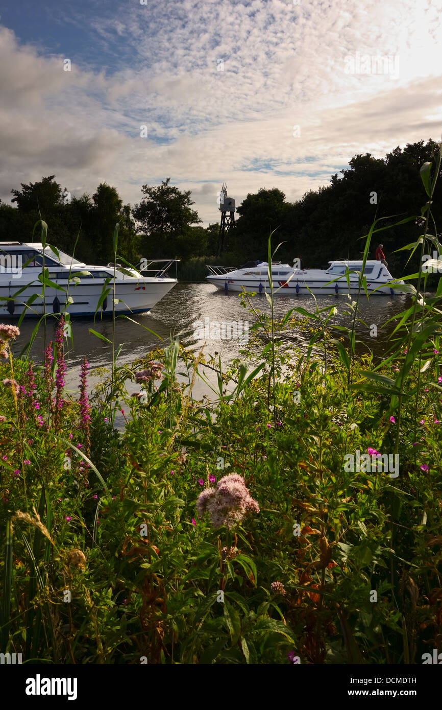 River Bure hire boat cruisers Norfolk broads  England UK Stock Photo
