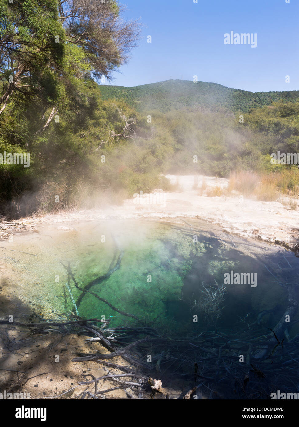dh Tokaanu thermal walk TOKAANU NEW ZEALAND Recreation Reserve thermal pool steaming hot mineral pools spring water springs geothermal Stock Photo