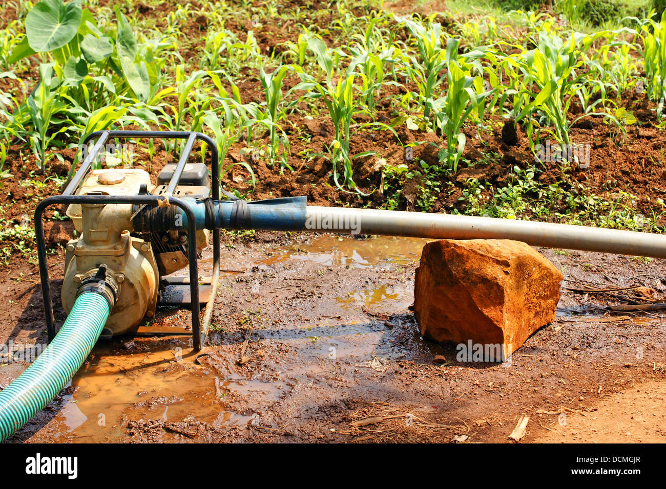 Water pump in the field during dry season Stock Photo Alamy