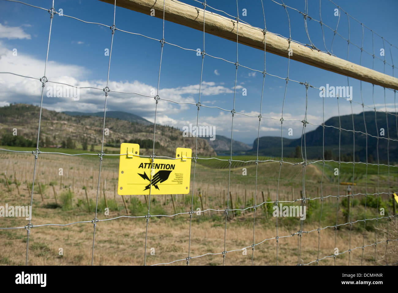 ELECTRIFIED SECURITY FENCE BLUE MOUNTAIN VINEYARDS OKANAGAN FALLS VASEAUX LAKE SOUTH OKANAGAN VALLEY BRITISH COLUMBIA CANADA Stock Photo