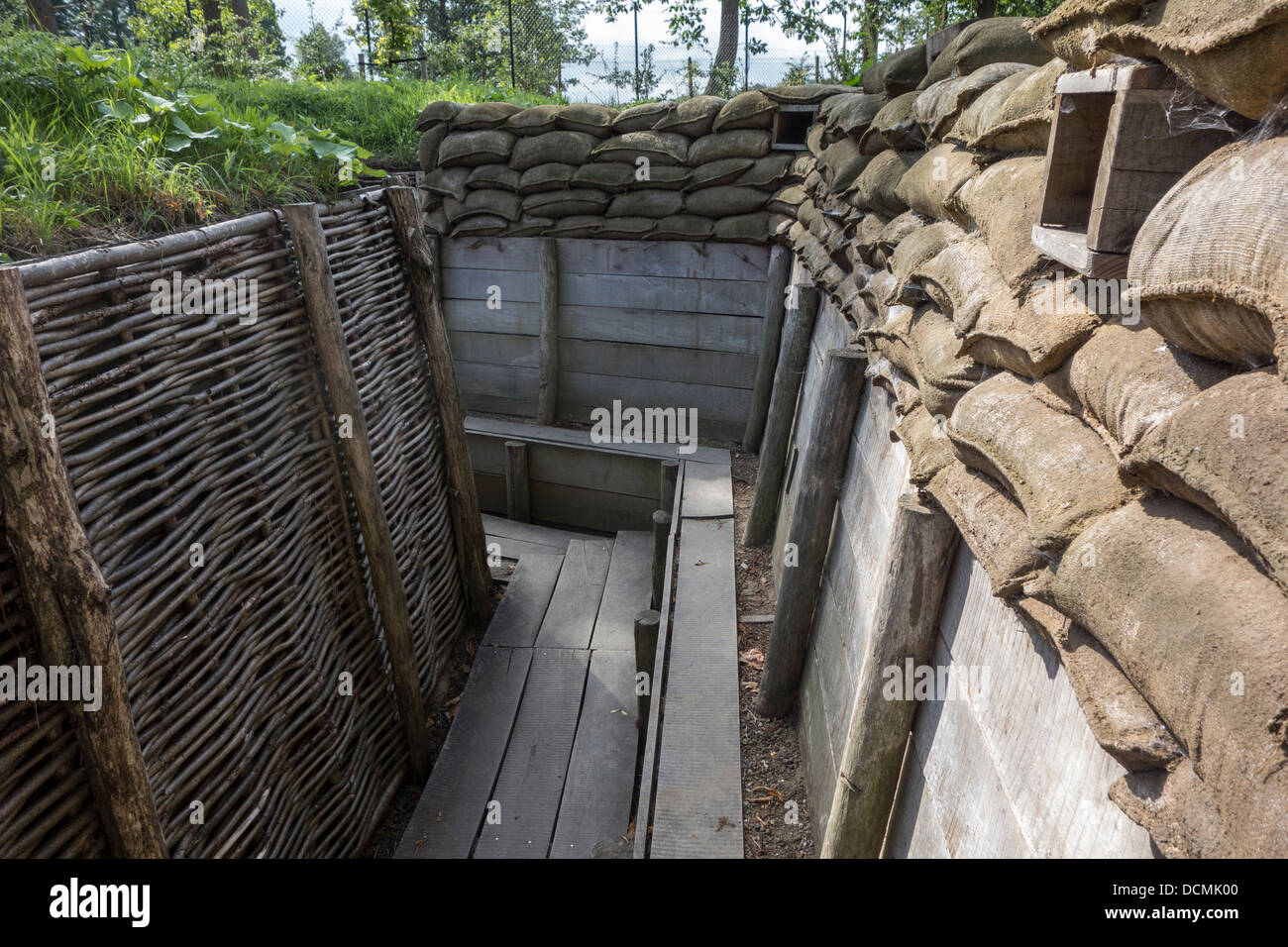 German First World War One trench showing fire step, wooden duckboards, woven wickerwork branches and loopholes, West Flanders Stock Photo