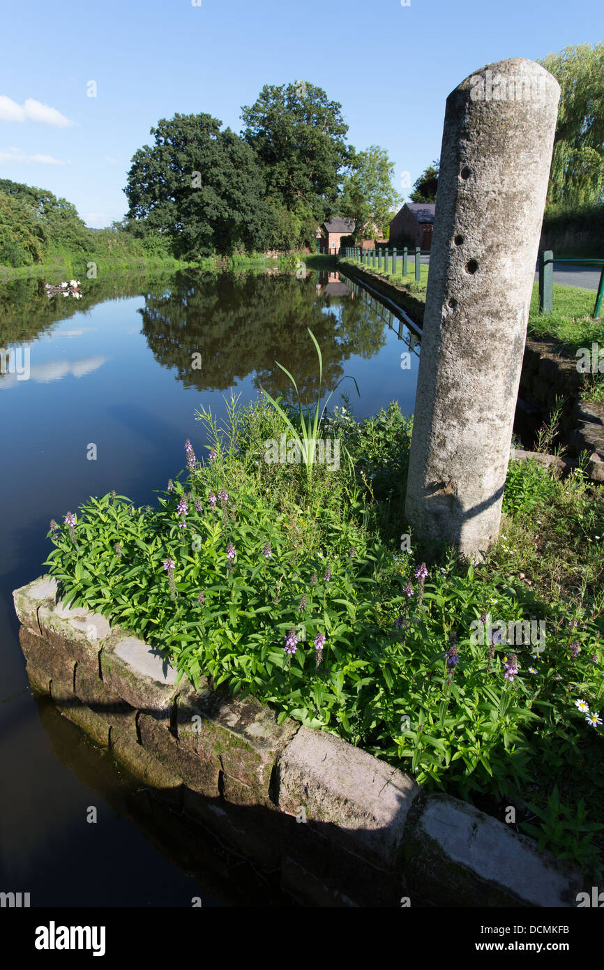 Village of Coddington, England. Picturesque summer view of Coddington