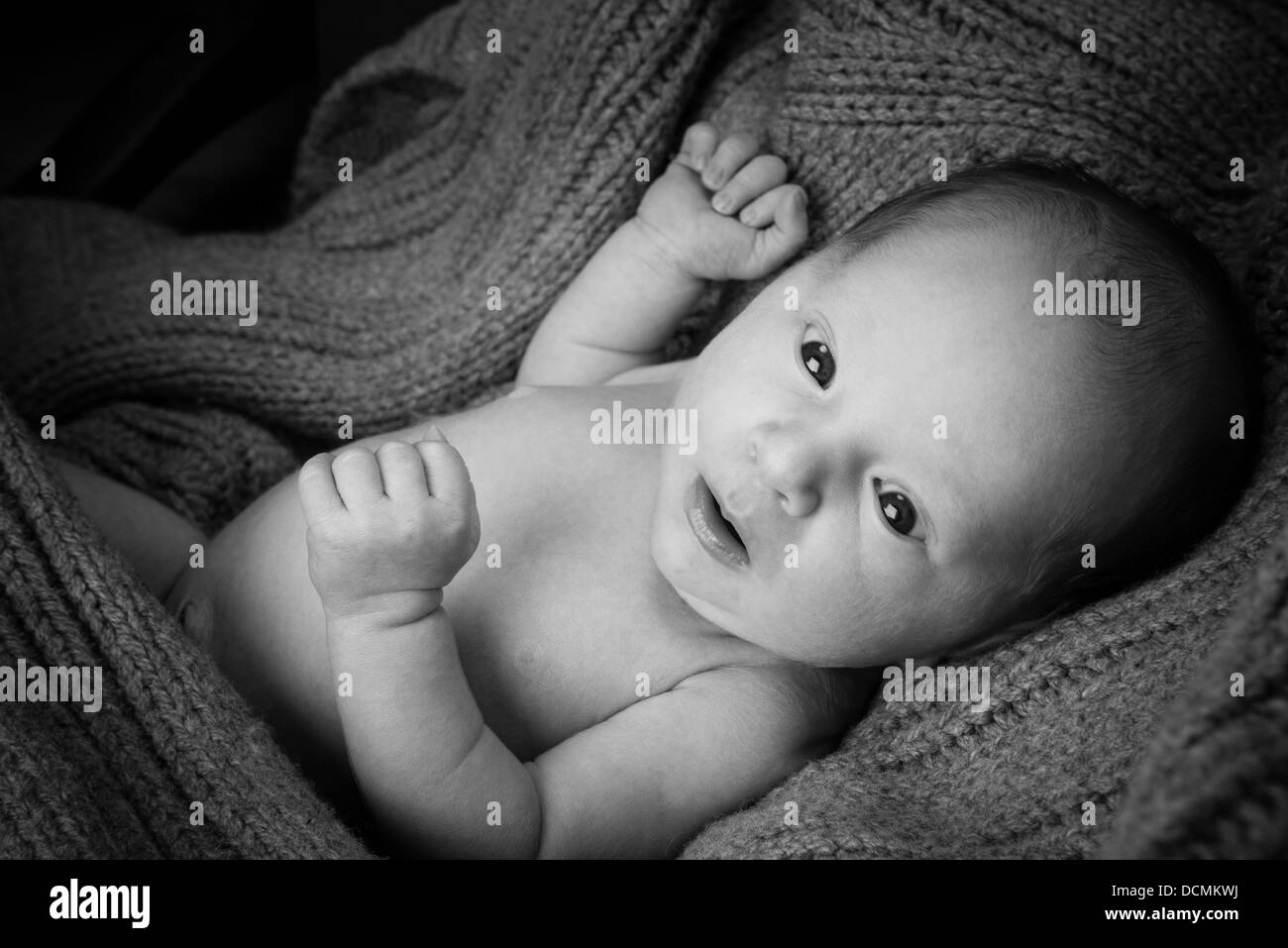 softly lit six day old baby girl in jumper shot in studio in black and white Stock Photo