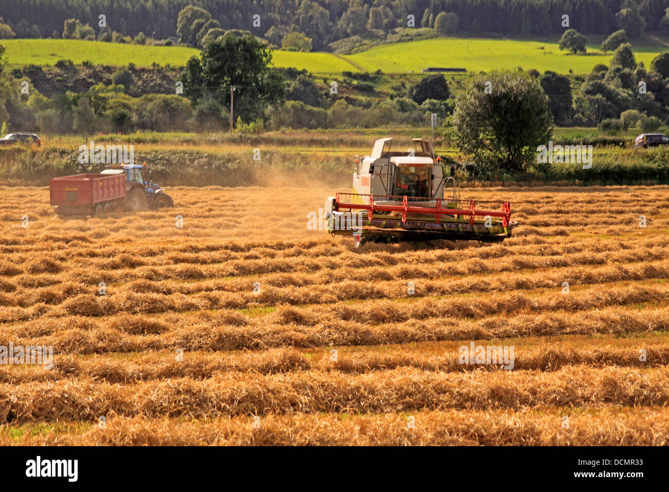 Scotland Tayside Harvesting Barley Crops Stock Photo