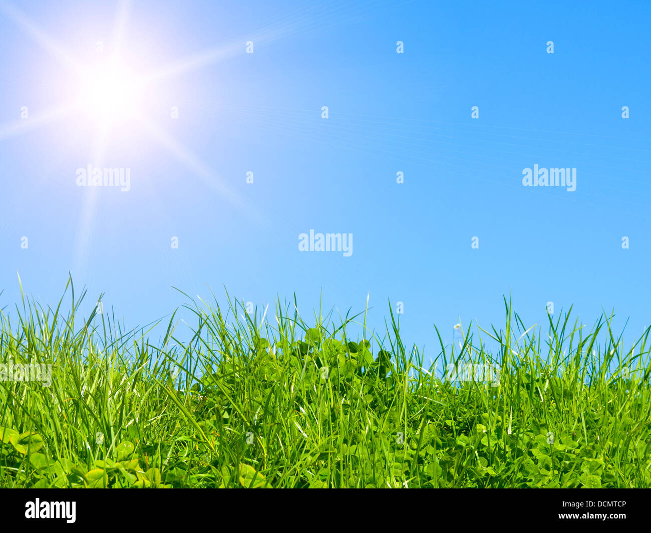 green field on blue sky Stock Photo - Alamy