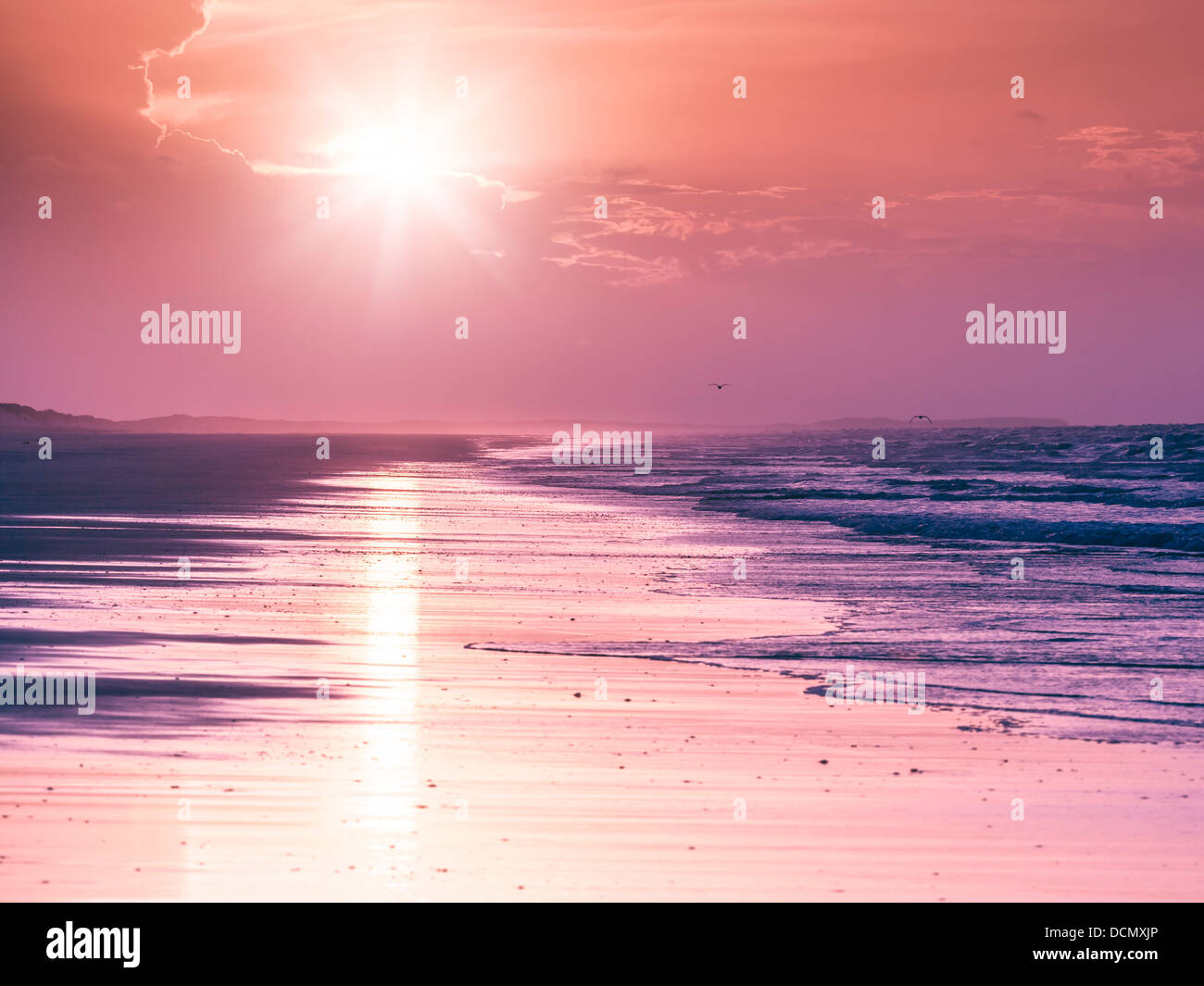 80 mile beach Australia Stock Photo Alamy