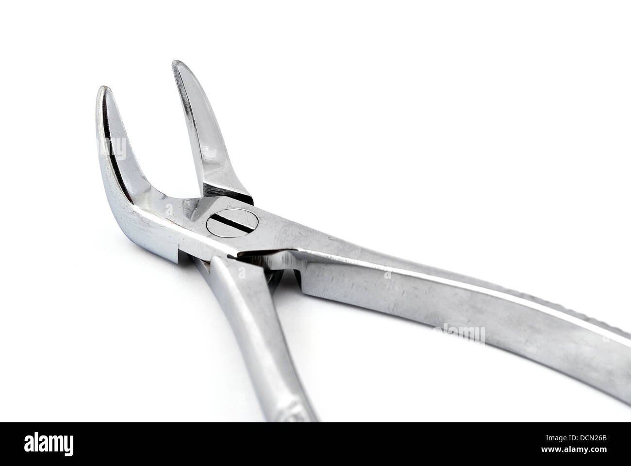 dental pliers Stock Photo Alamy