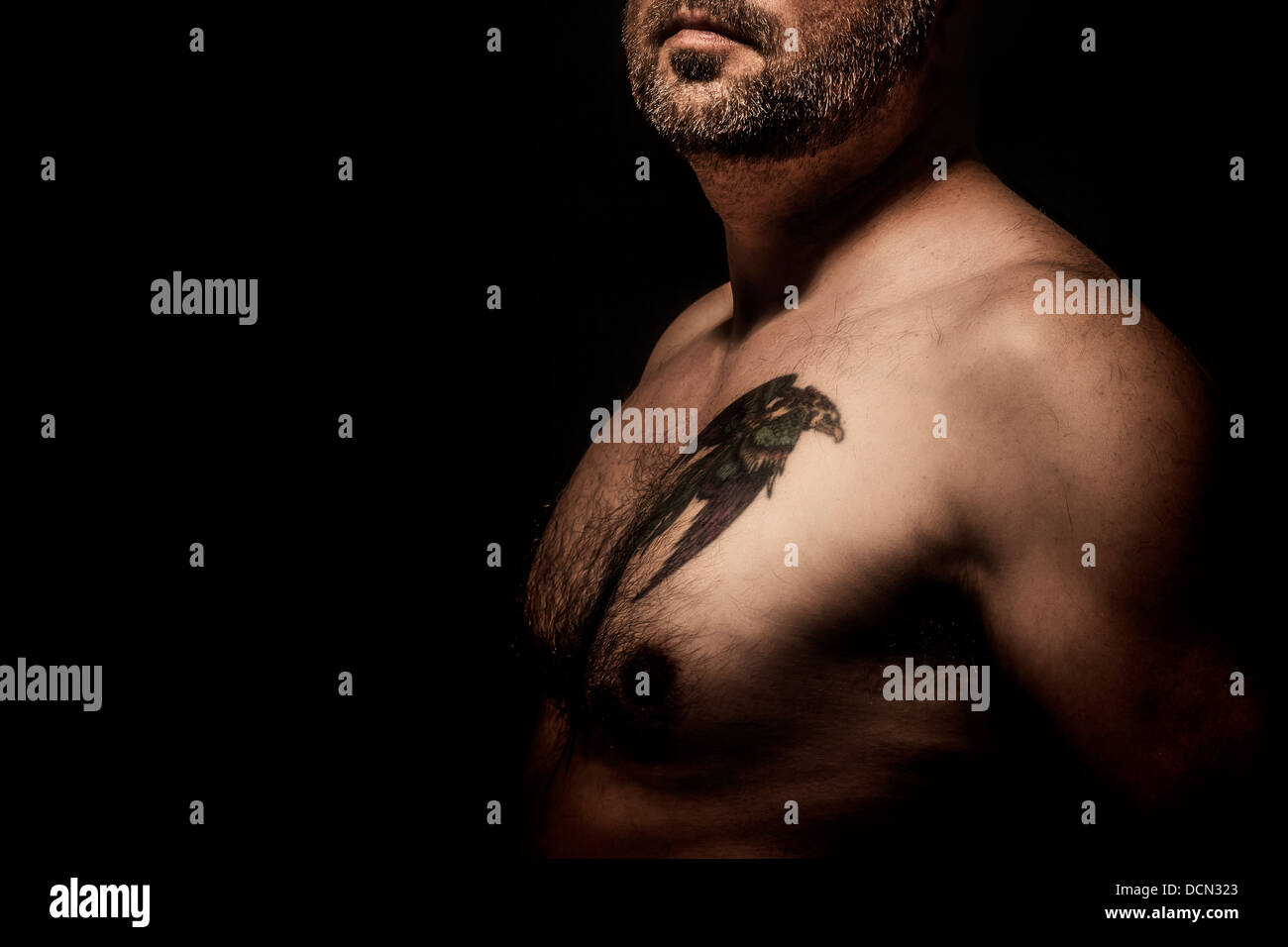 Body tattoo male model hi-res stock photography and images - Alamy
