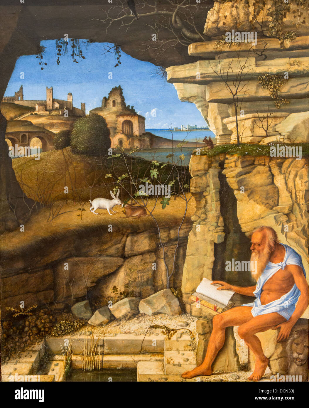 16th century  -  Saint Jerome Reading, 1505 - Giovanni Bellini Philippe Sauvan-Magnet / Active Museum Stock Photo