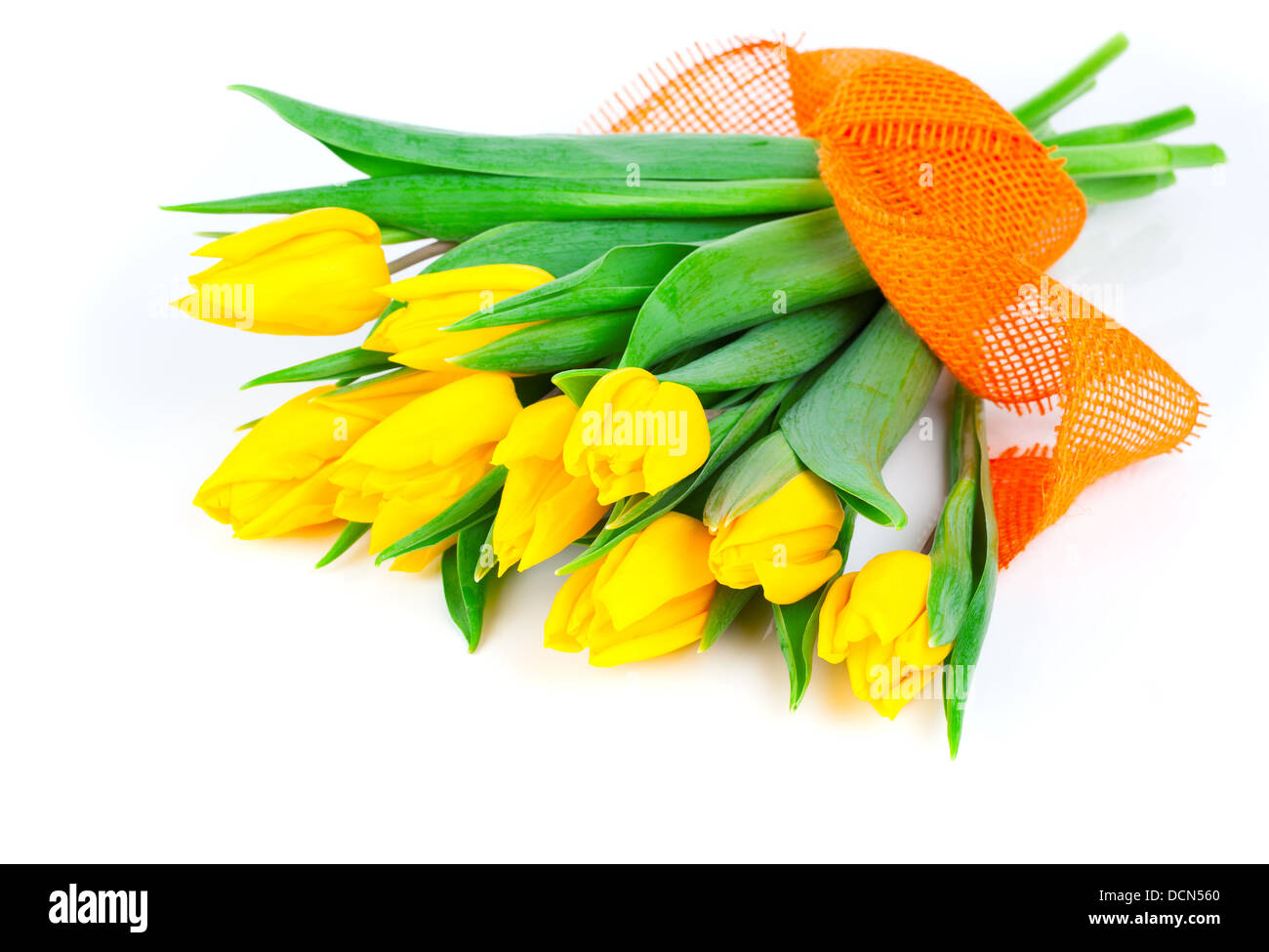 yellow tulip flowers bouquet isolated on white background Stock Photo ...
