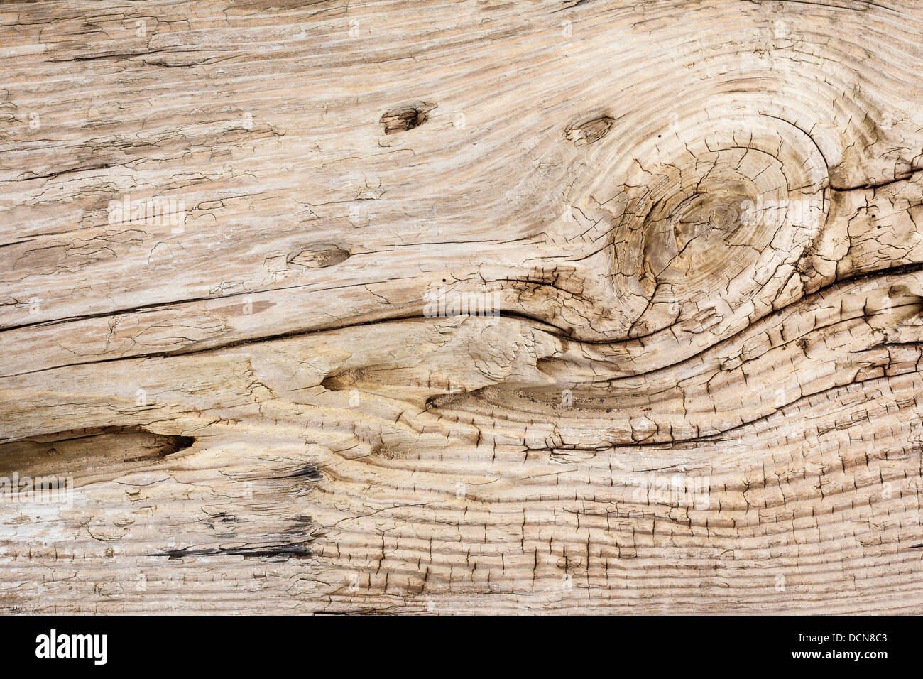 Driftwood Background Texture. Stock Photo