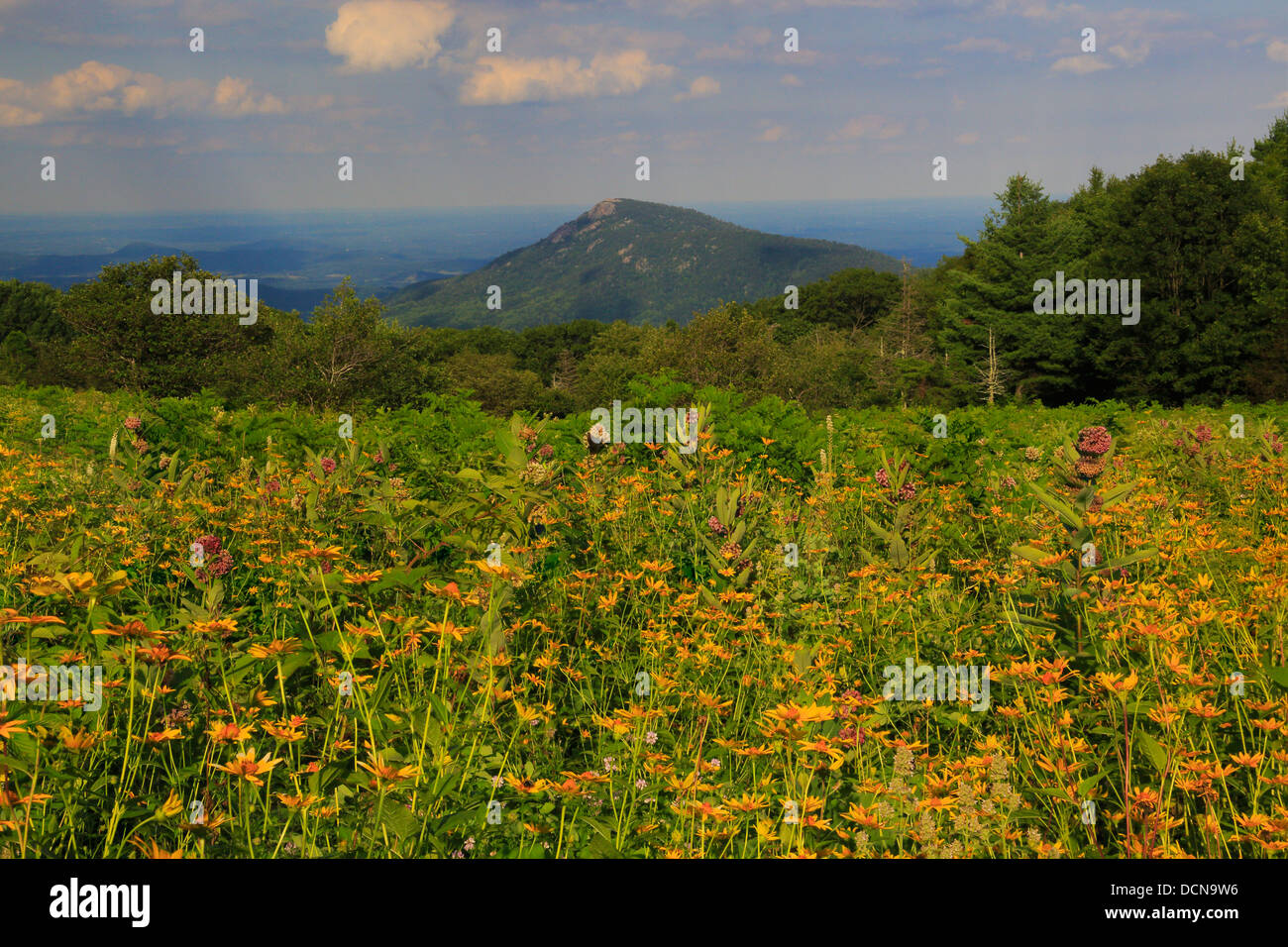 Old rag mountain hi-res stock photography and images - Alamy