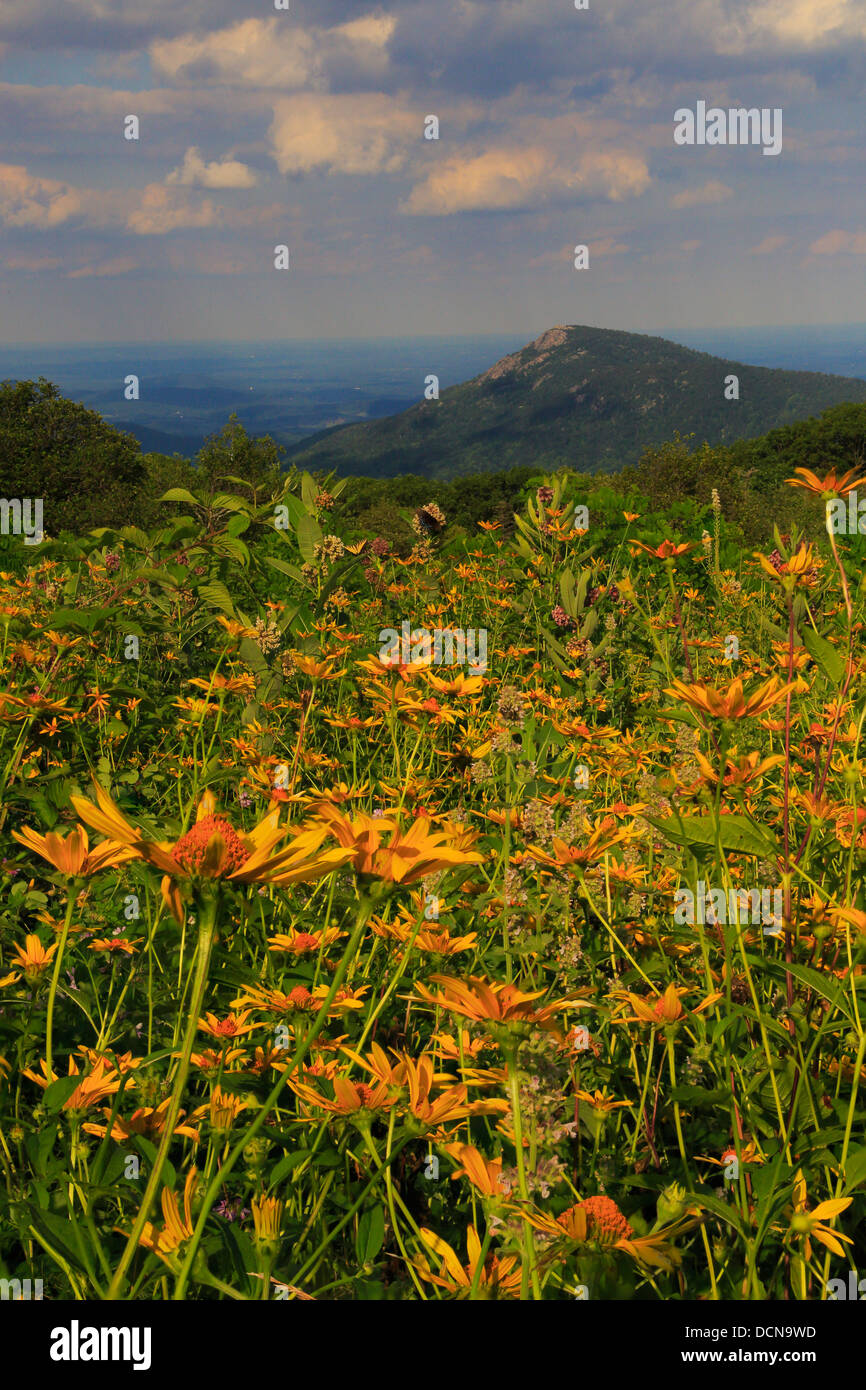 Old rag mountain hi-res stock photography and images - Alamy