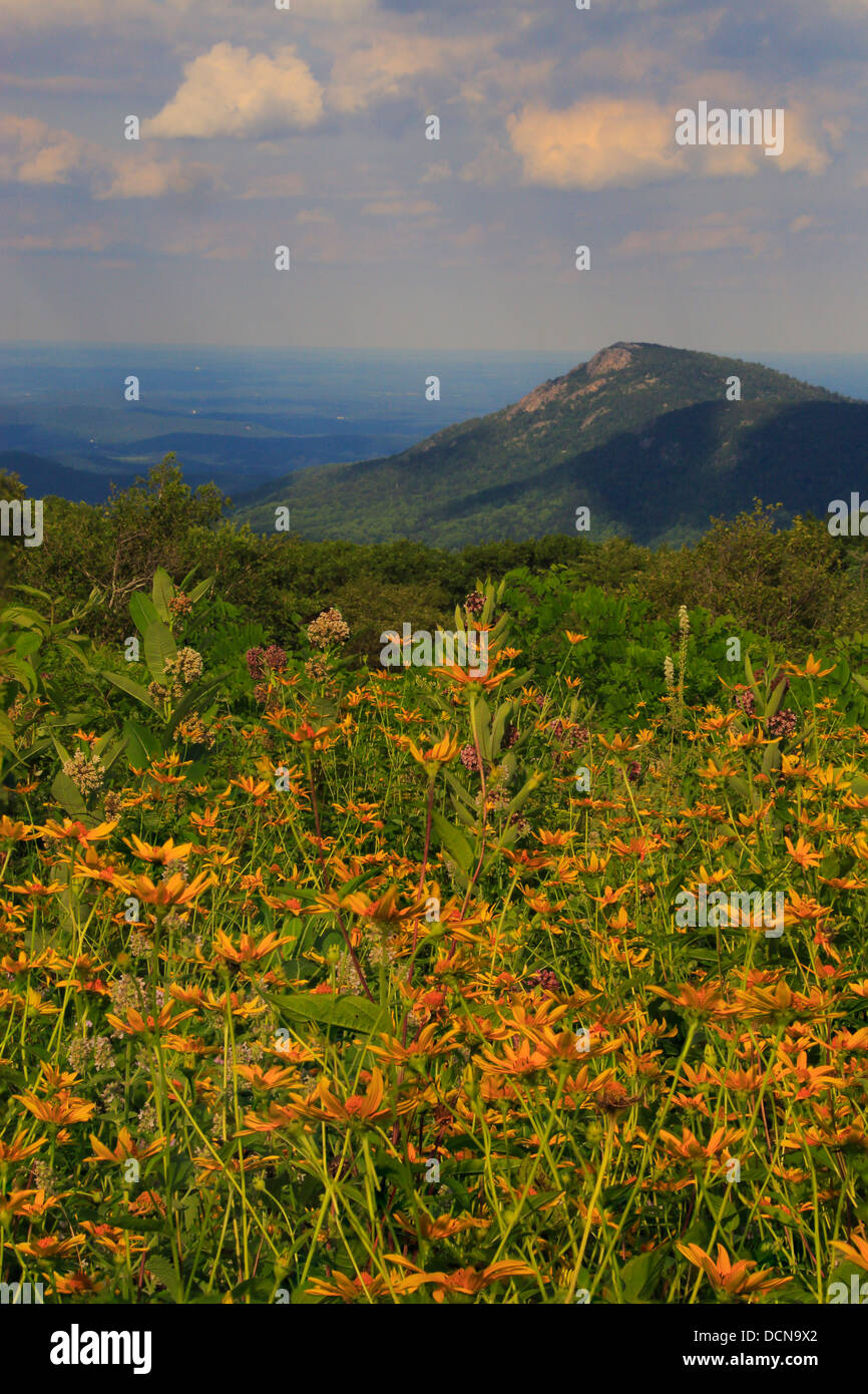 Old rag mountain hi-res stock photography and images - Alamy