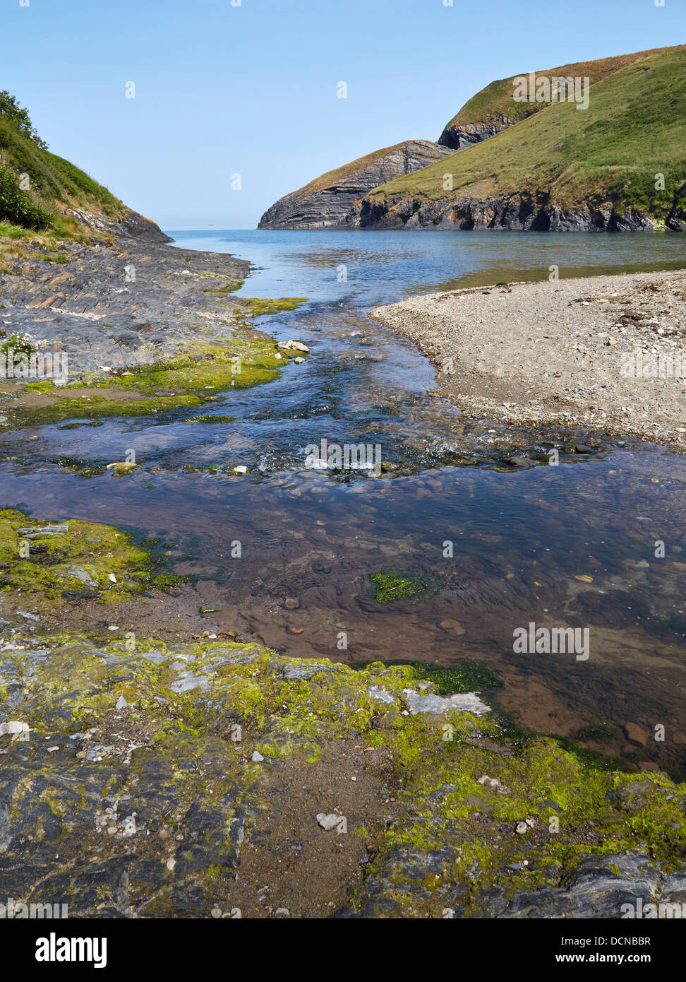 Nant Ceibwr stream entering Cardigan Bay at Ceibwr Bay near Cardigan on the South Wales coast path Stock Photo